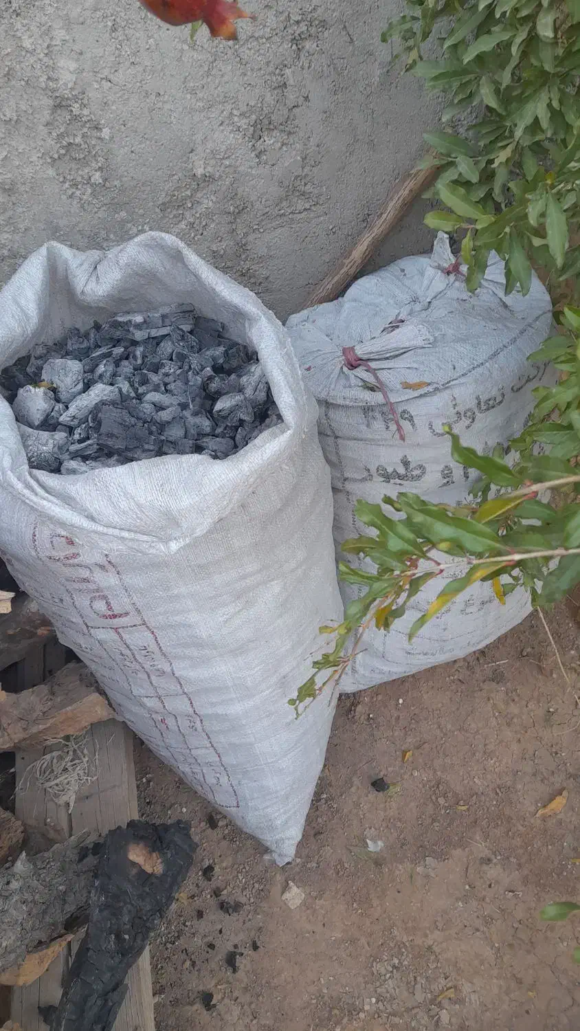 زغال|خوردنی و آشامیدنی|زرنه, |دیوار