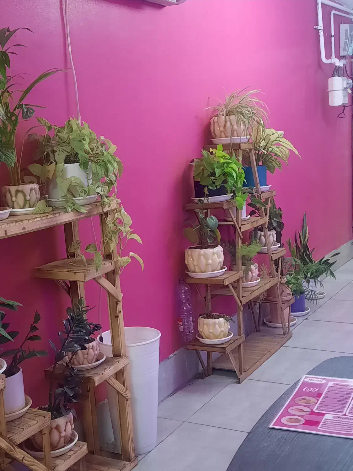 همخونه خانم|اجارهٔ آپارتمان|شیراز, محمدیه|دیوار