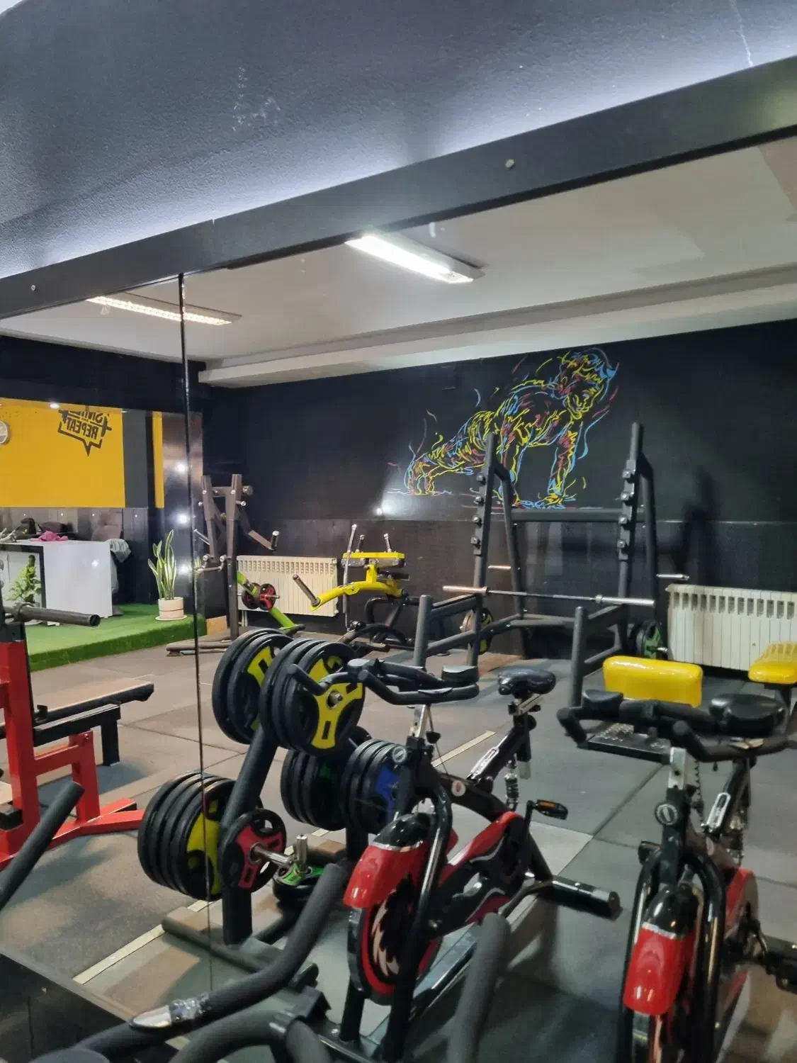 مربی بدنسازی آقایان|استخدام آموزشی|شاهین‌شهر, خانه کارگر|دیوار