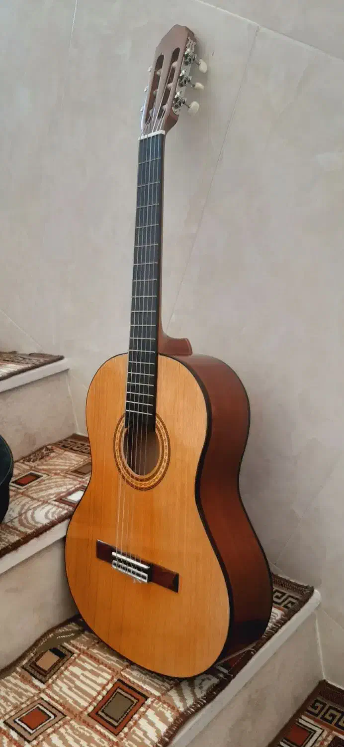 گیتار|گیتار، بیس، امپلیفایر|قم, باغ شریفی|دیوار