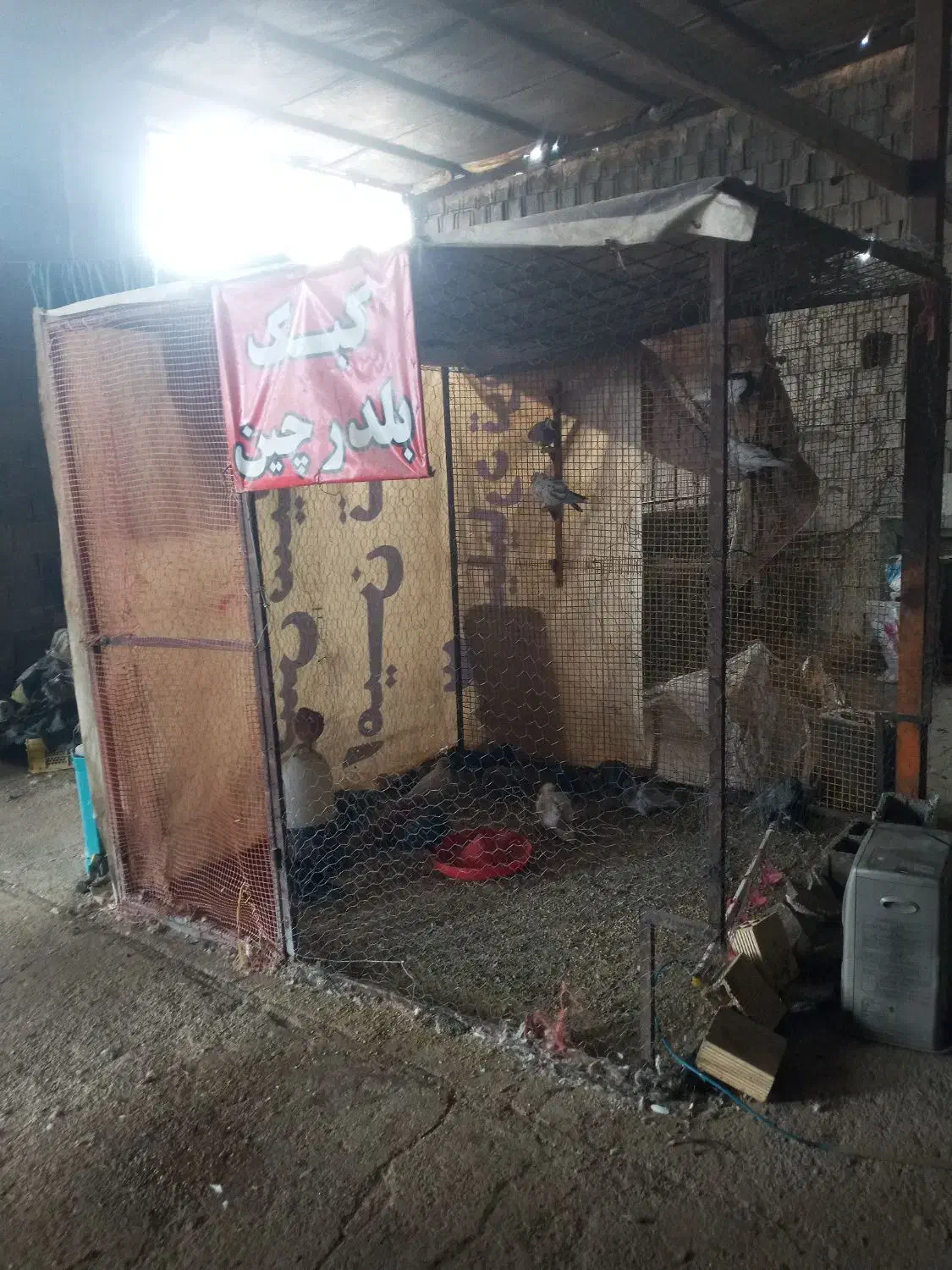 گاری ۴چرخ قفسه بندی شده باقفس|لوازم جانبی حیوانات|شیراز, گویم|دیوار