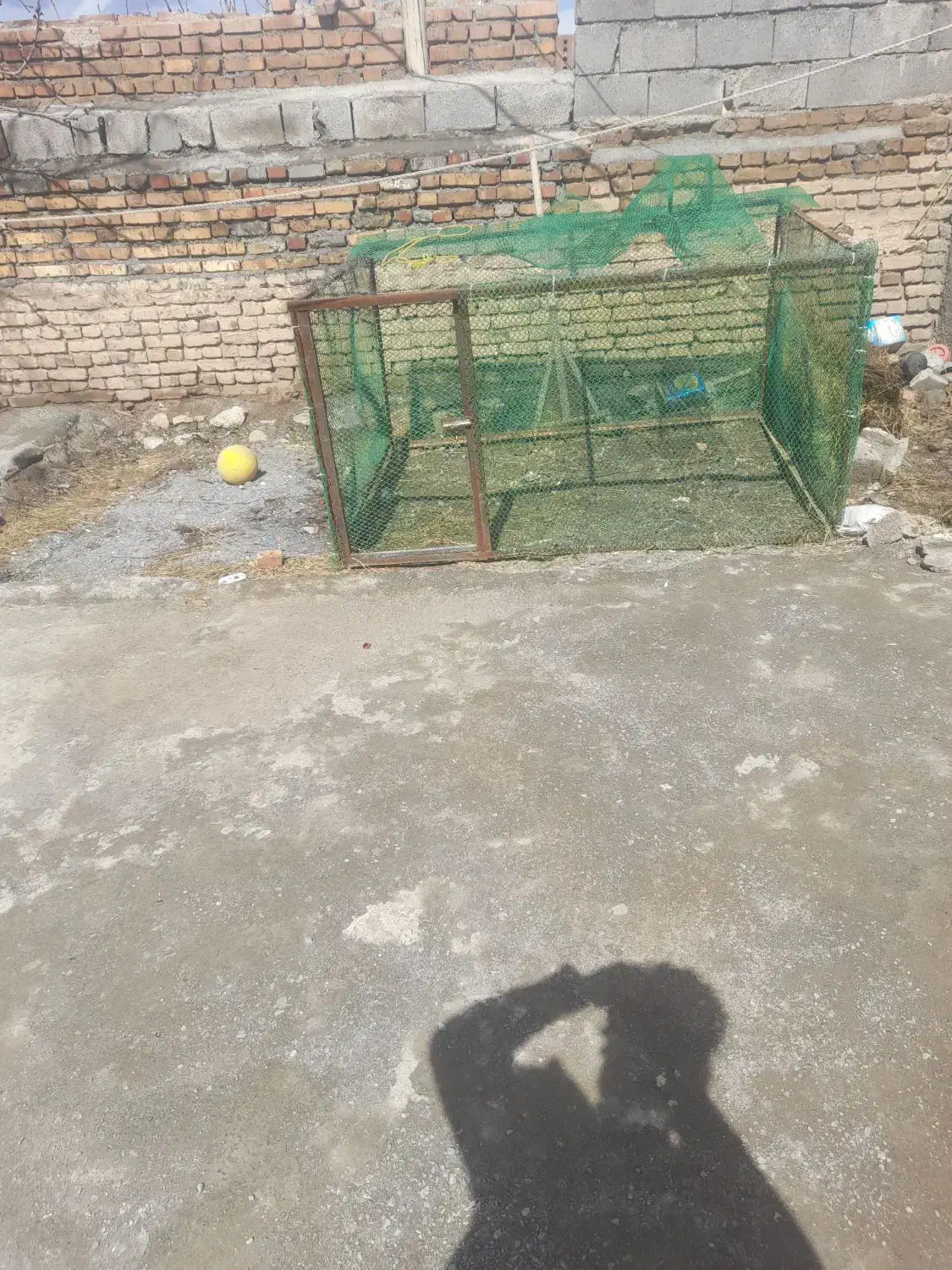 قفس|لوازم جانبی حیوانات|خوی, |دیوار