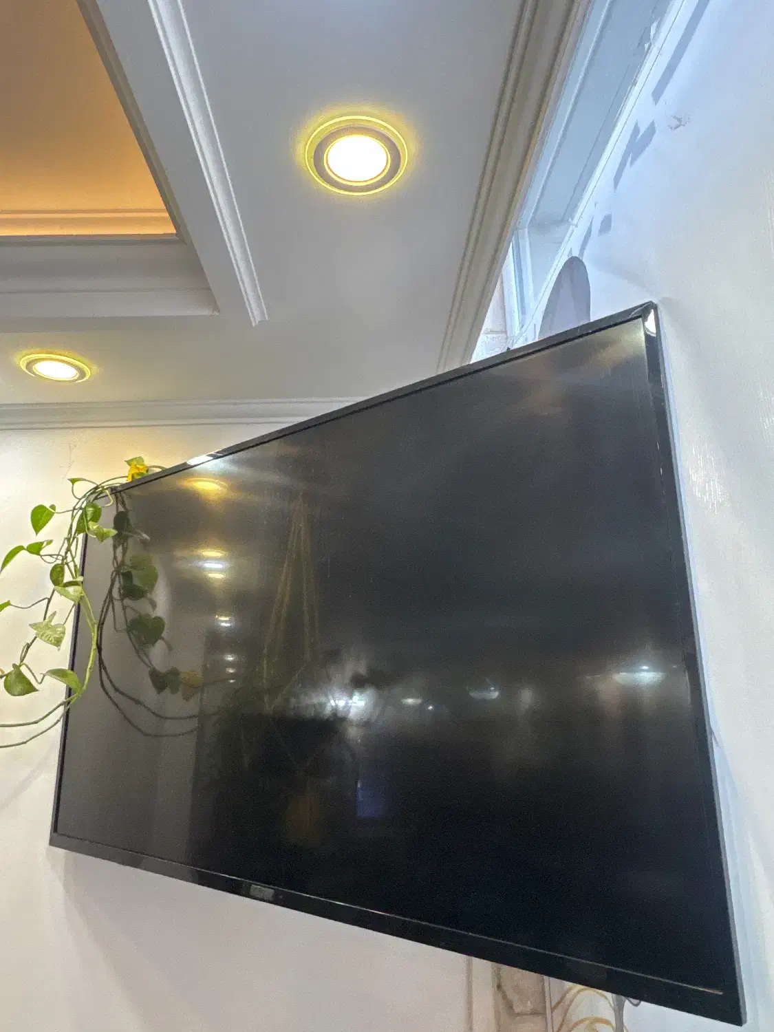 تلویزیون|تلویزیون و پروژکتور|یزد, |دیوار