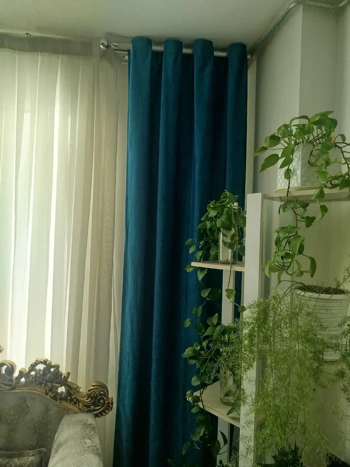 پرده حریر با دوتا دستک|پرده، رانر، رومیزی|تربت‌حیدریه, شهرک ولیعصر|دیوار