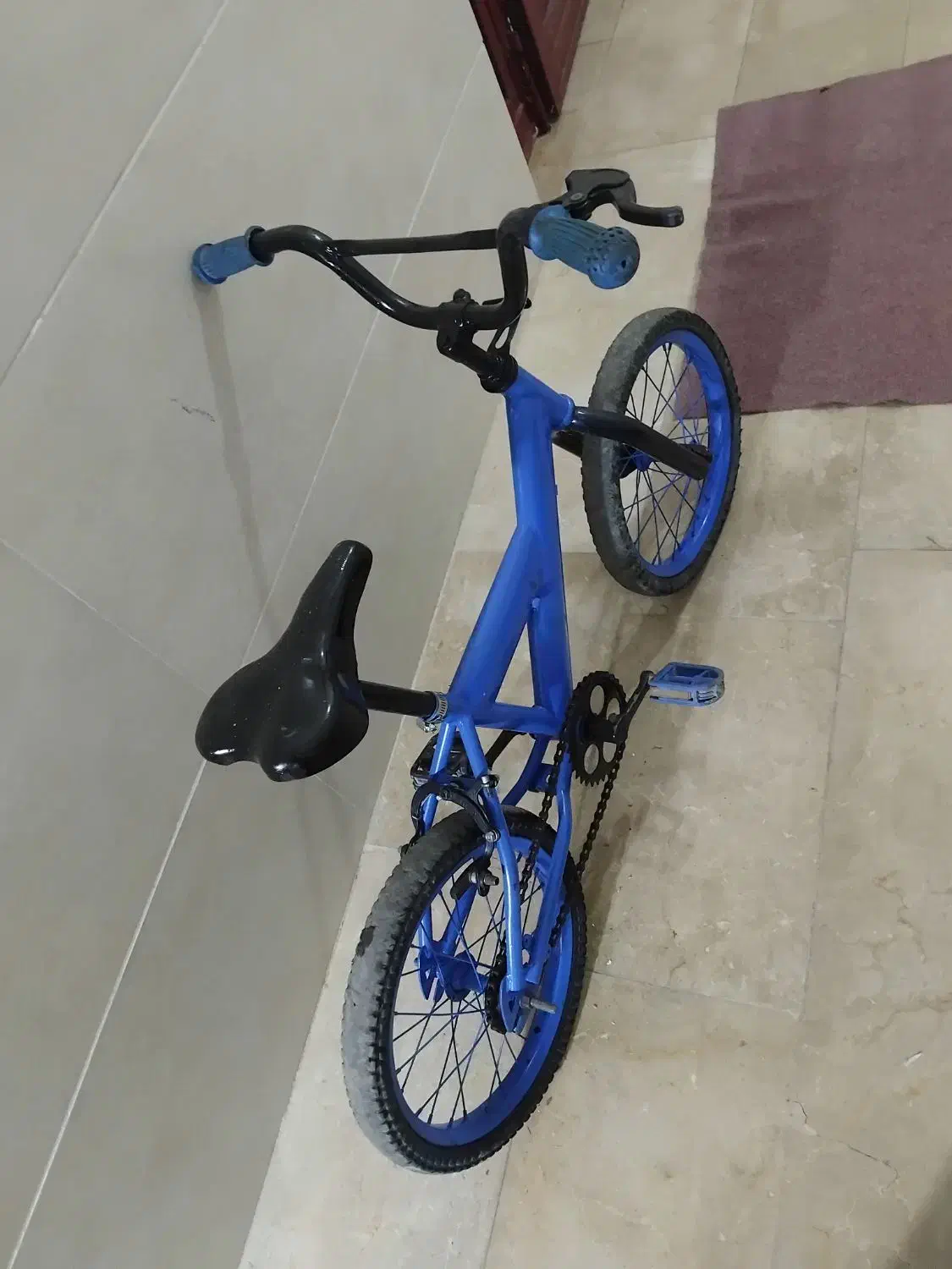 دوچرخه|دوچرخه، اسکیت، اسکوتر|گنبد کاووس, |دیوار