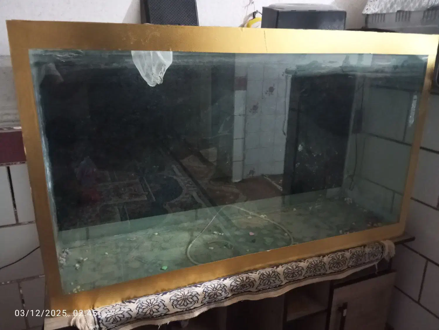 اکواریوم بزرگ|ماهی|شیراز, شیخ علی چوپان|دیوار