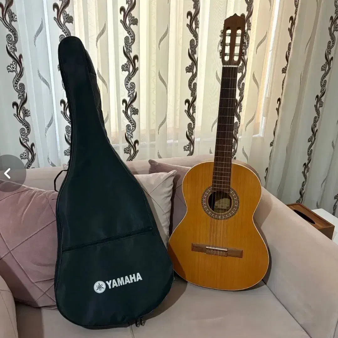 گیتار|گیتار، بیس، امپلیفایر|کنگاور, |دیوار