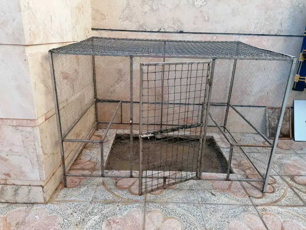 قفس مرغ وخروس یا کبوتر|لوازم جانبی حیوانات|شاهین‌شهر, گرگاب|دیوار