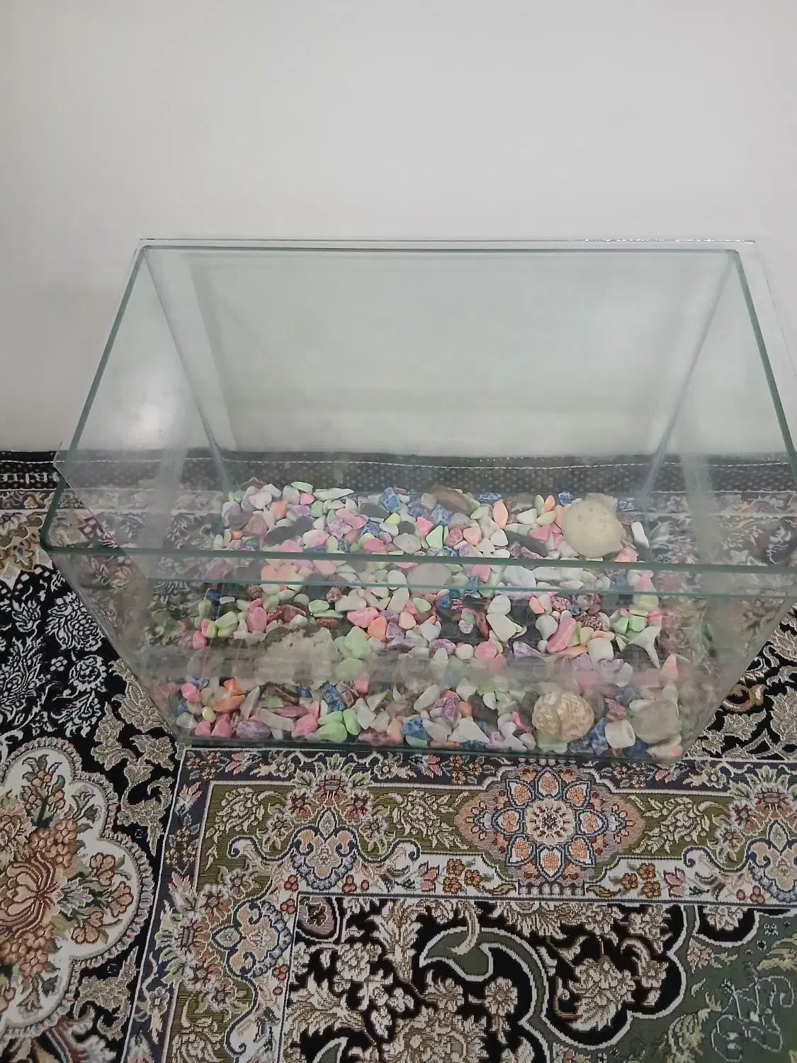 آکواریم ماهی|ماهی|الوند, |دیوار