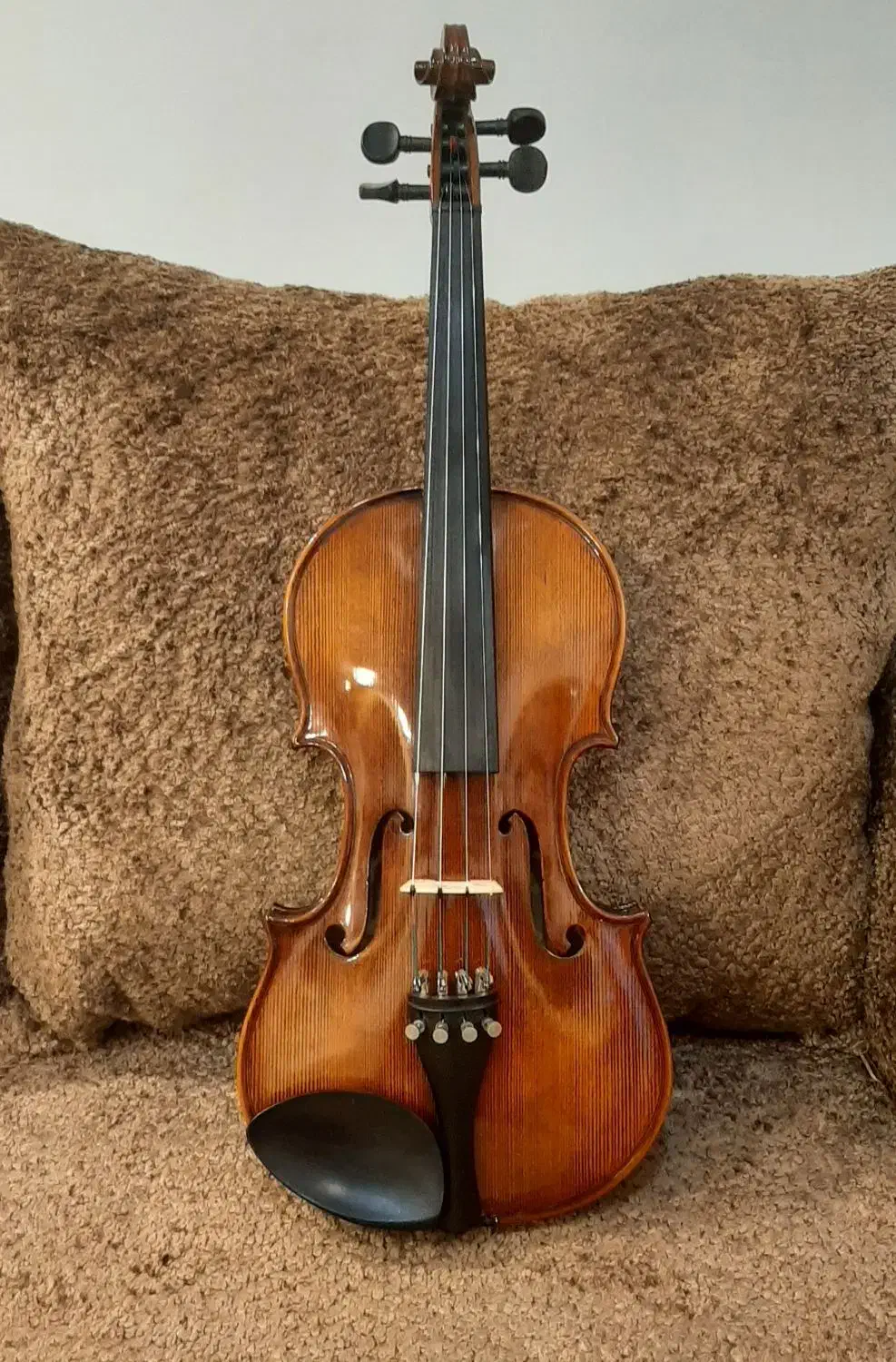 ویلون Steiner.اشتاینر|ویولن|تهران, تهرانپارس شرقی|دیوار