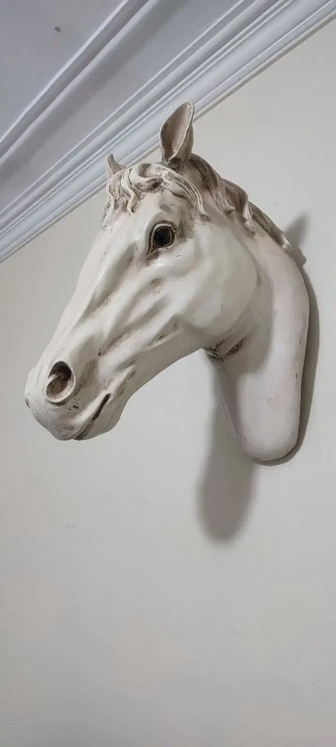 تزئینی|مجسمه، تندیس، ماکت|تهران, اسفندیاری|دیوار