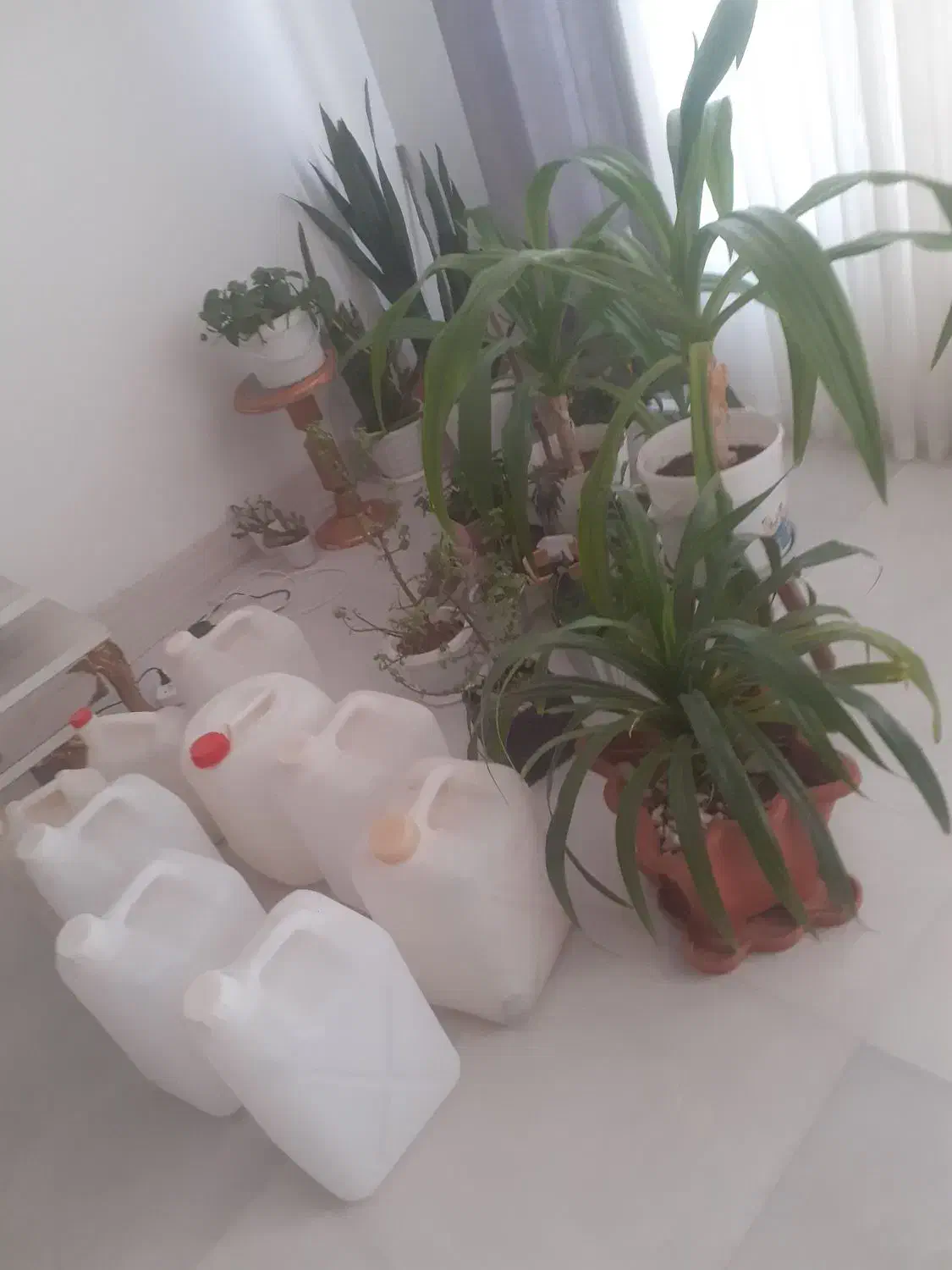 فروش بطری اب ۲۰ لیتری|ظروف نگهدارنده، پلاستیکی، یک‌بارمصرف|مرودشت, فاز دوم شهرک فرهنگیان|دیوار