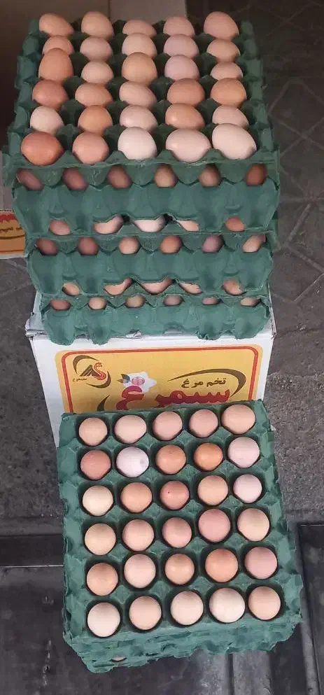 تخم مرغ محلی گلپایگان|خوردنی و آشامیدنی|مشهد, حجاب (شهرک غرب)|دیوار