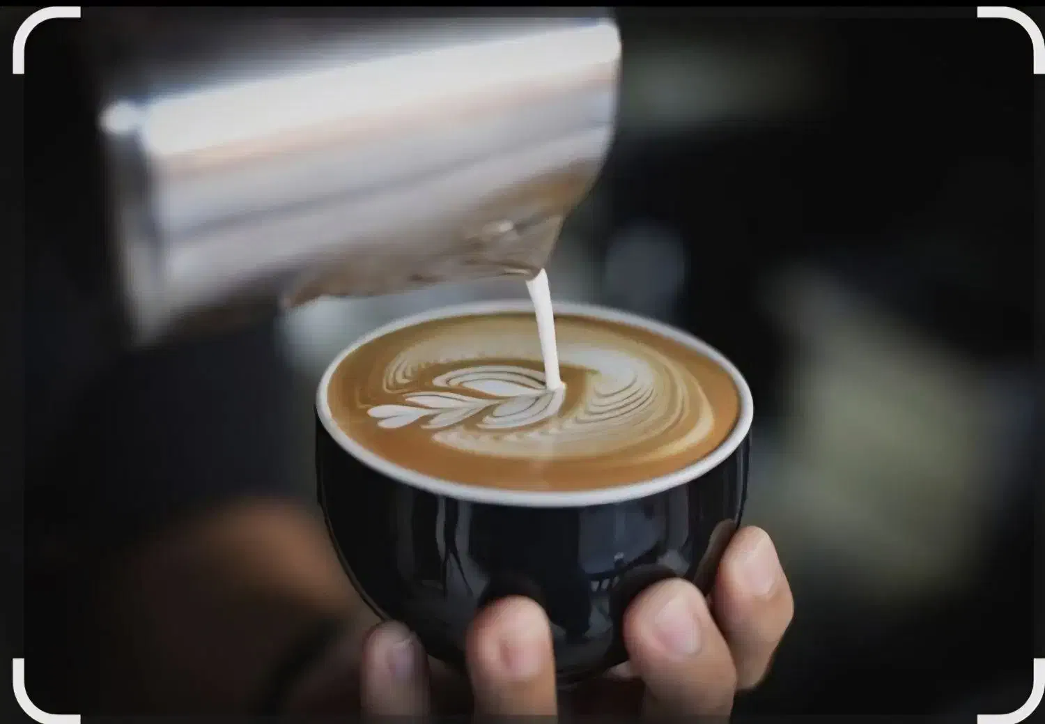 باریستا|استخدام خدمات فروشگاه و رستوران|تربت جام, شاد|دیوار