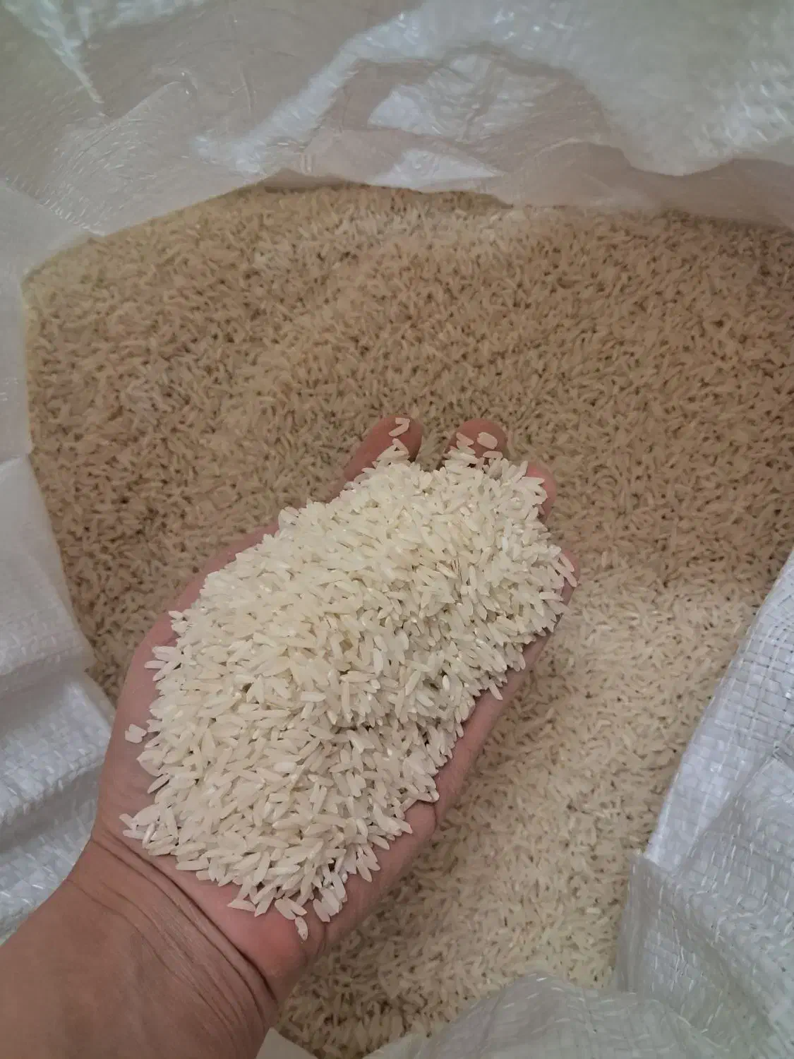 برنج هاشمی درجه ۱|خوردنی و آشامیدنی|ری, ظهیرآباد|دیوار