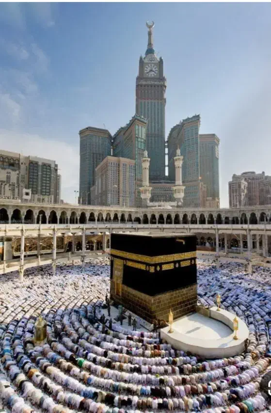 حج واجب|تور و چارتر|تربتحیدریه, پائین ولایت|دیوار