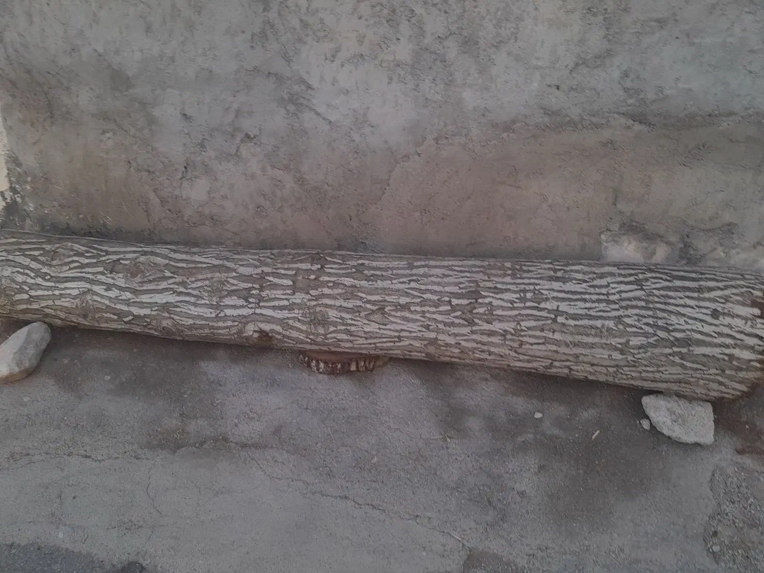 خرید چوب|خدمات باغبانی و درختکاری|کوزران, |دیوار