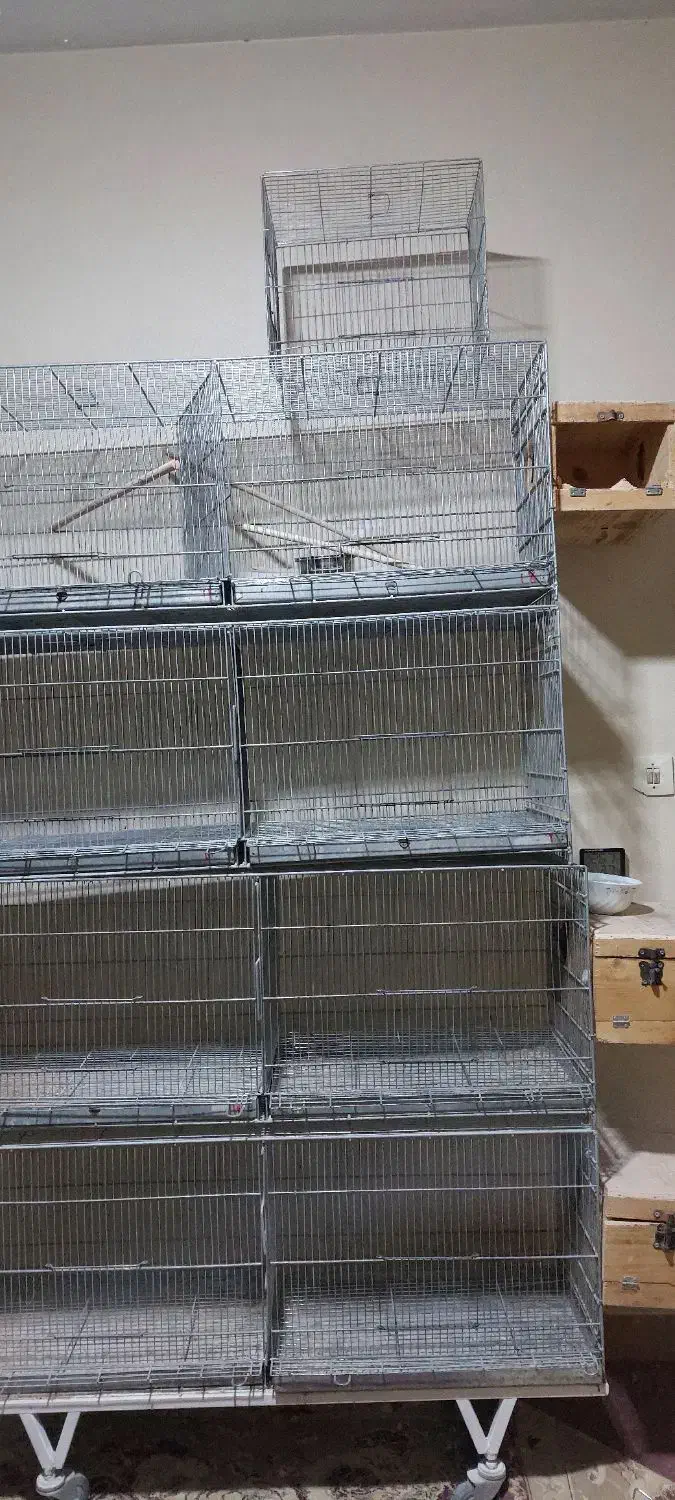 قفس بزرگ دست ساز|لوازم جانبی حیوانات|شاهینشهر, شهرک گلدیس|دیوار
