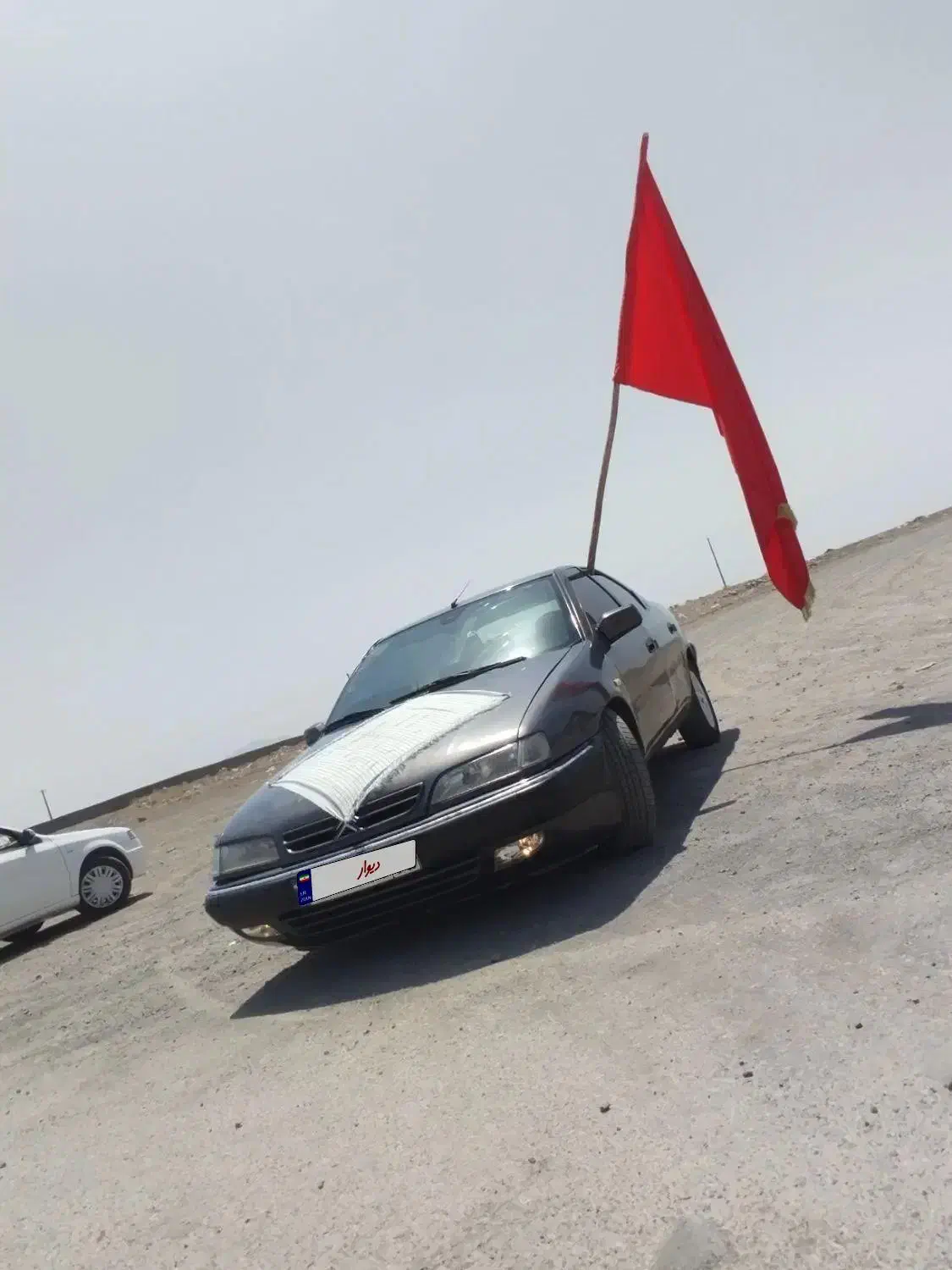 زانتیا مدل 82 دلفینی|خودرو سواری و وانت|سیرجان, |دیوار