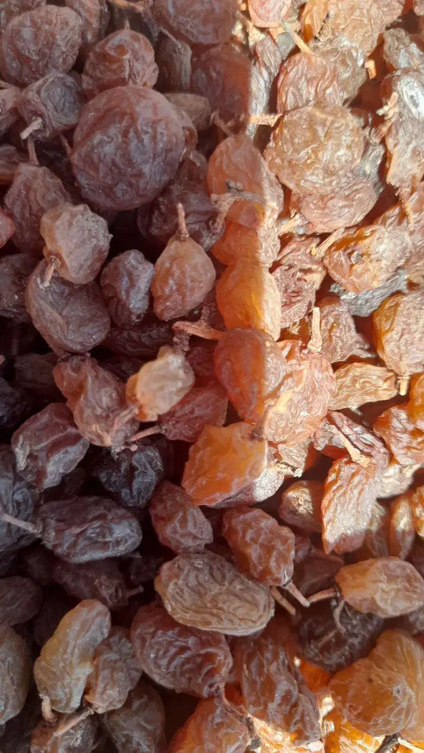 کشمش افتابی.|خوردنی و آشامیدنی|باغستان, |دیوار