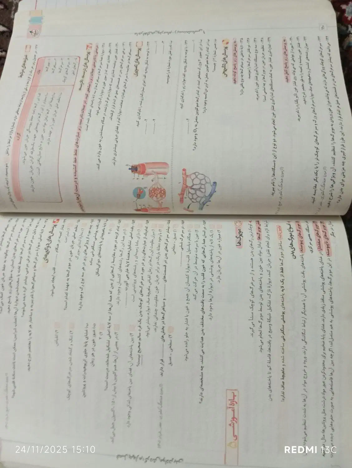 شیمی و زیست دهم|کتاب و مجله آموزشی|مشهد, عامل|دیوار