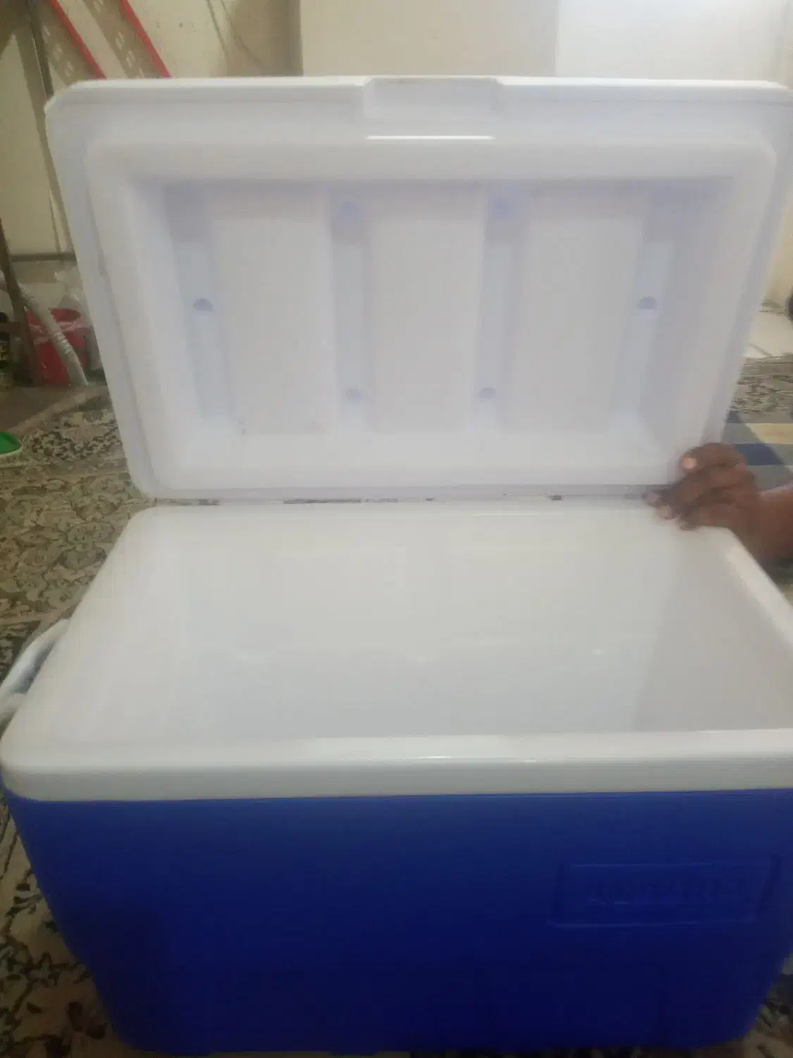 بجوی پلاستیکی|ظروف نگهدارنده، پلاستیکی، یک‌بارمصرف|بندرعباس, |دیوار