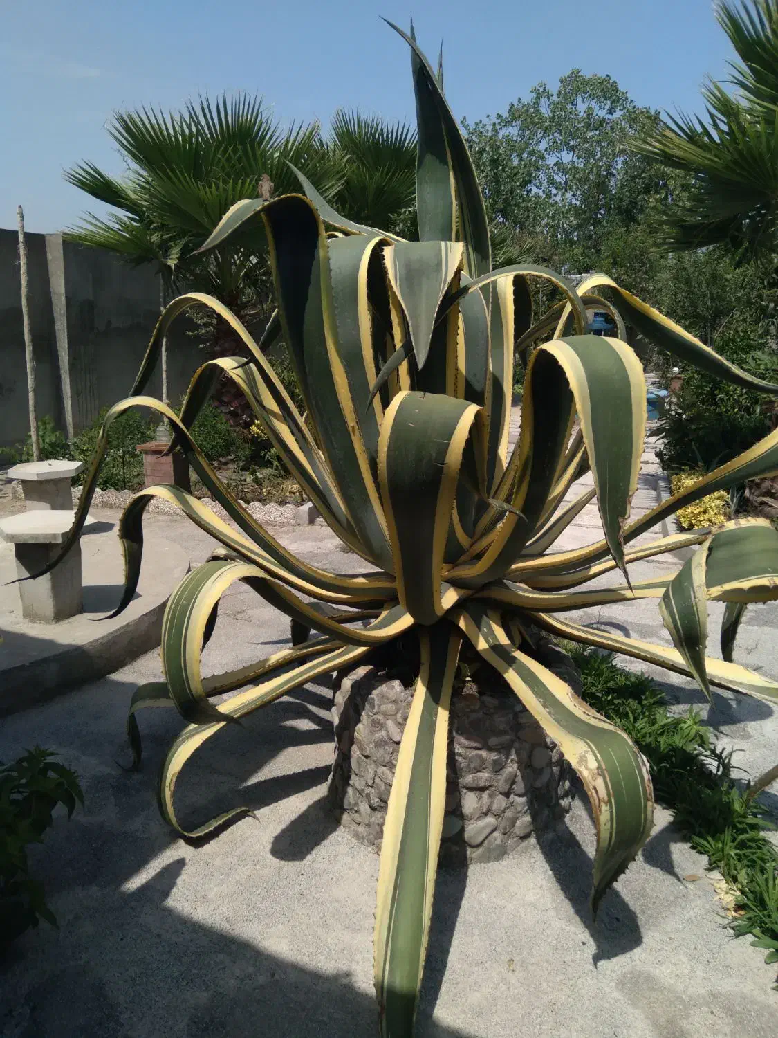 راهنمایی میکنم برا خرید ملک گیلان|فعالیت داوطلبانه|شیراز, شاهچراغ|دیوار