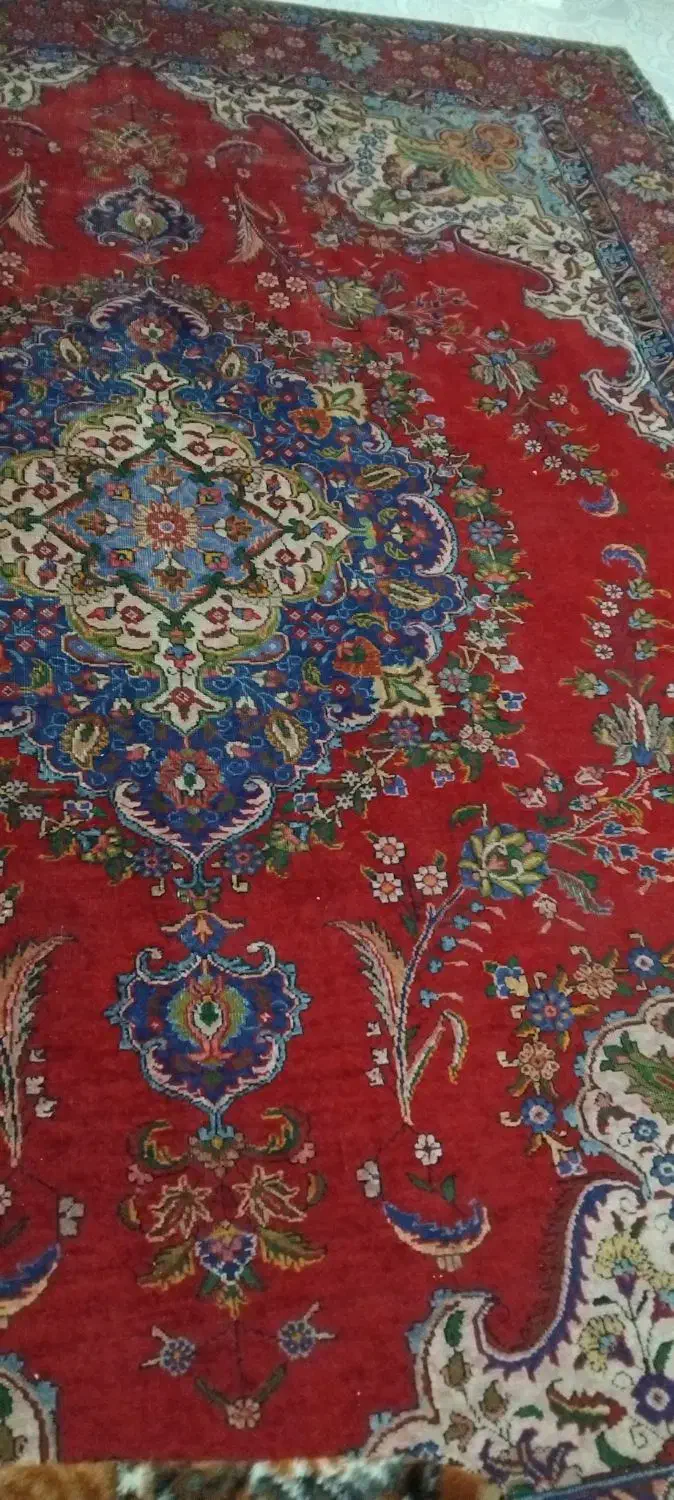 فرش دستباف ۱۲ متری|فرش|تبریز, |دیوار