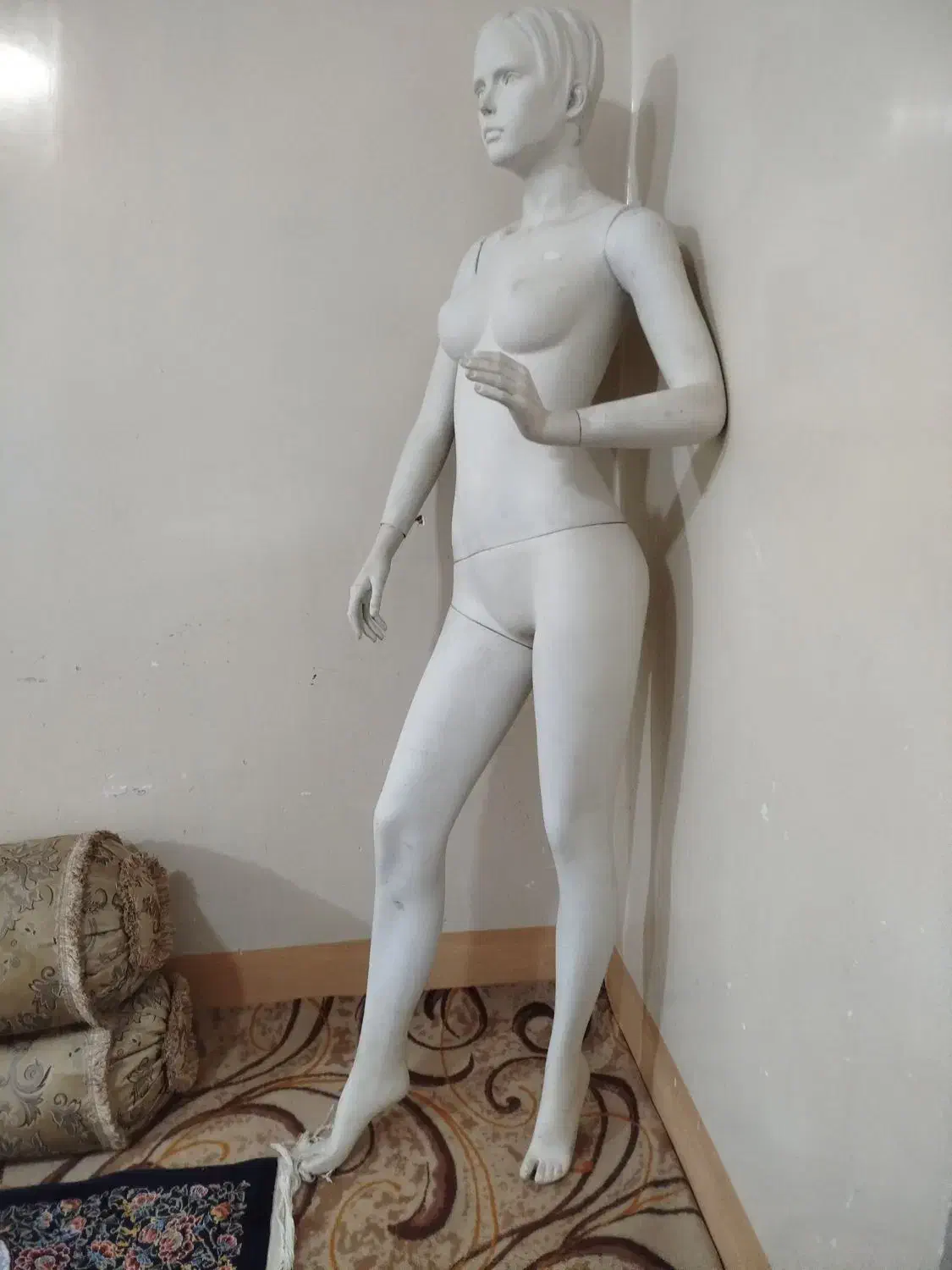 مانکن زنانه|فروشگاه و مغازه|دوگنبدان, |دیوار