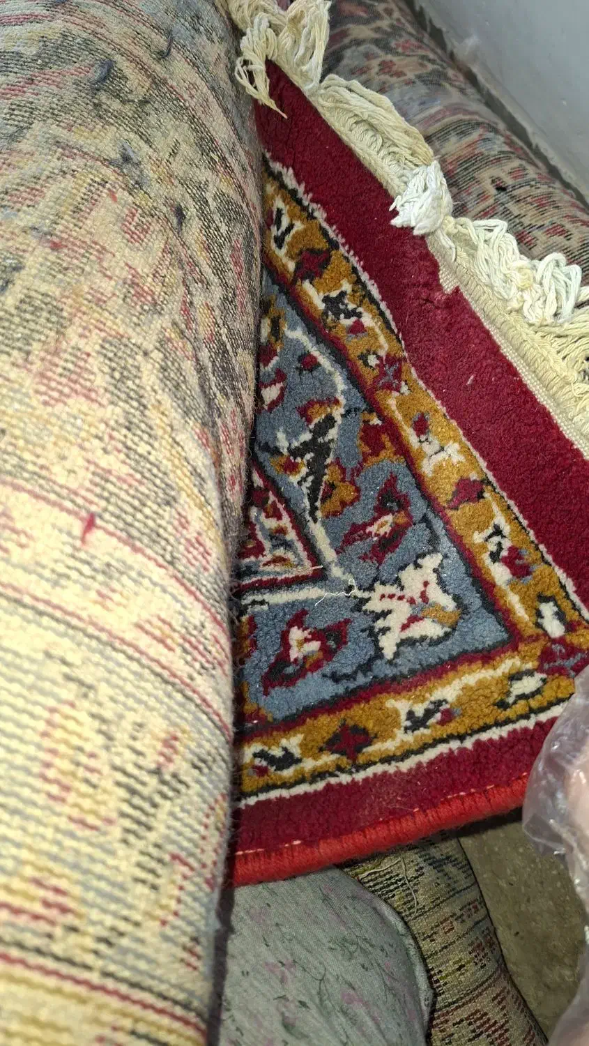 فرش کارکرده دستباف و ماشینی|فرش|قم, خاکفرج|دیوار