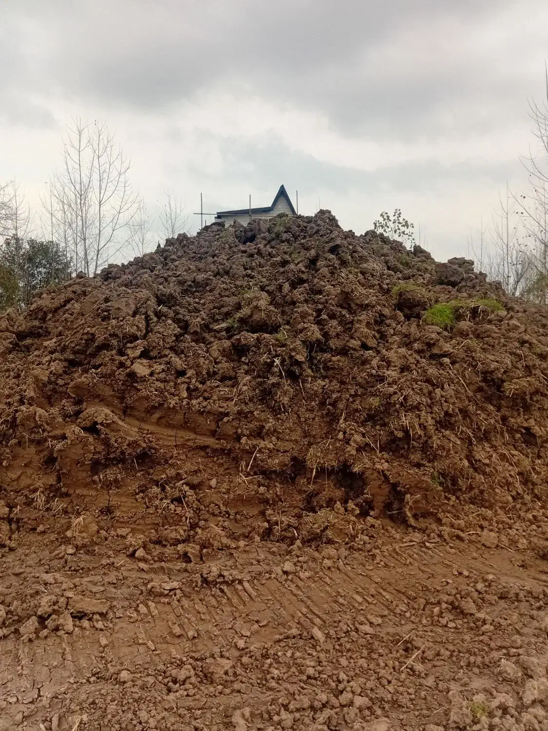 خاک مرغوب باغی|خدمات باغبانی و درختکاری|سنگر, |دیوار
