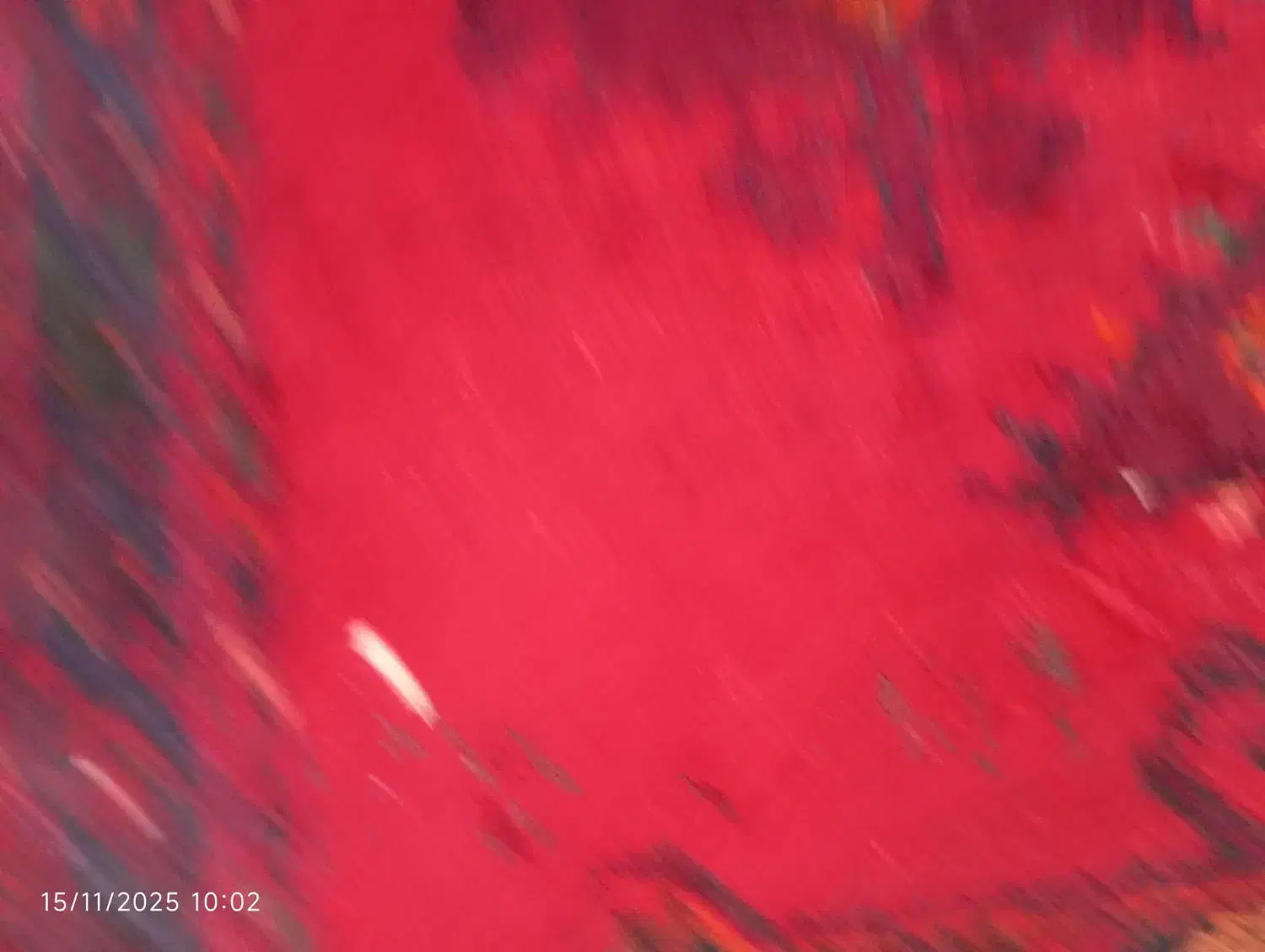 فرش|فرش|کرباسک, |دیوار