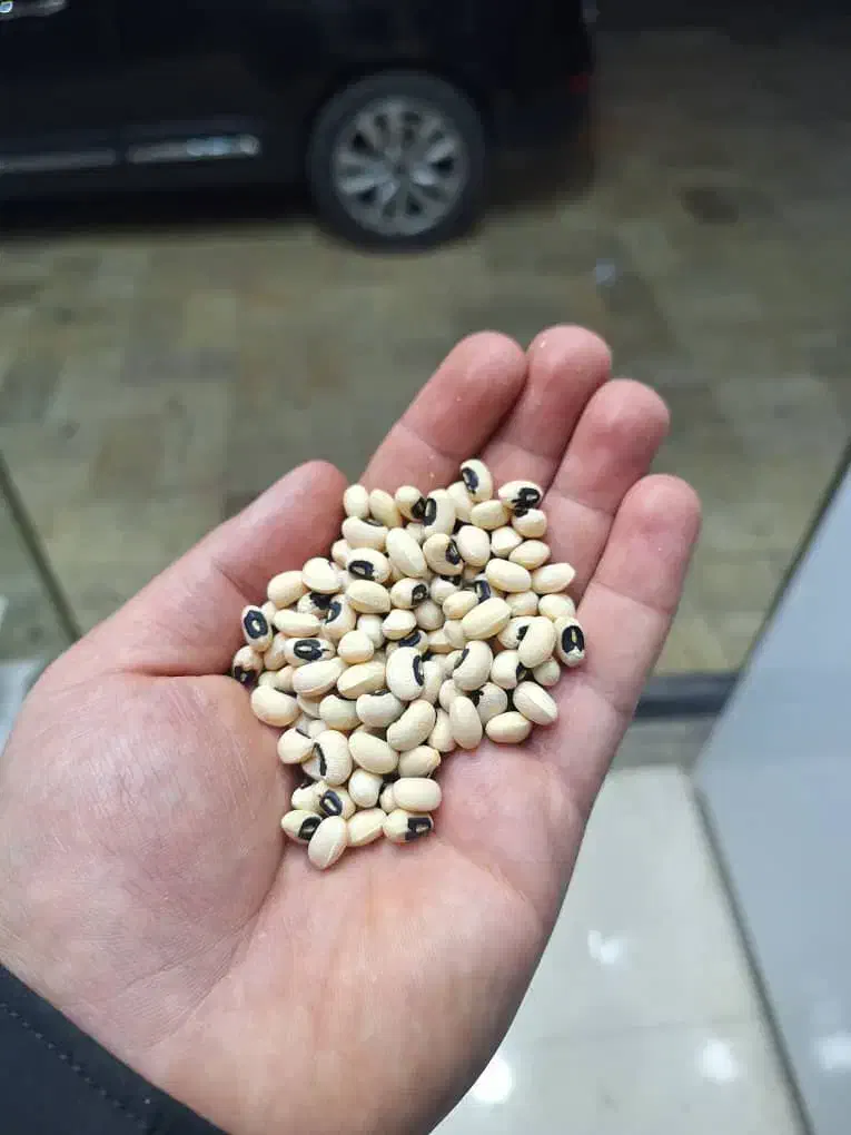 لوبیا قرمز، چیتی، چشم بلبلی کیلویی 105|خوردنی و آشامیدنی|کوهدشت, |دیوار