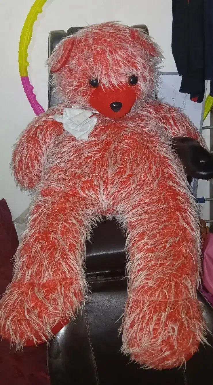 خرس|اسباب‌بازی بچه|مشهد, پورسینا|دیوار