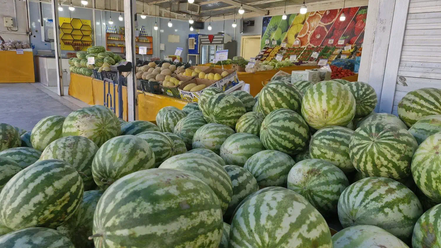 کارگر ساده میوه فروشی|استخدام خدمات فروشگاه و رستوران|یزد, |دیوار