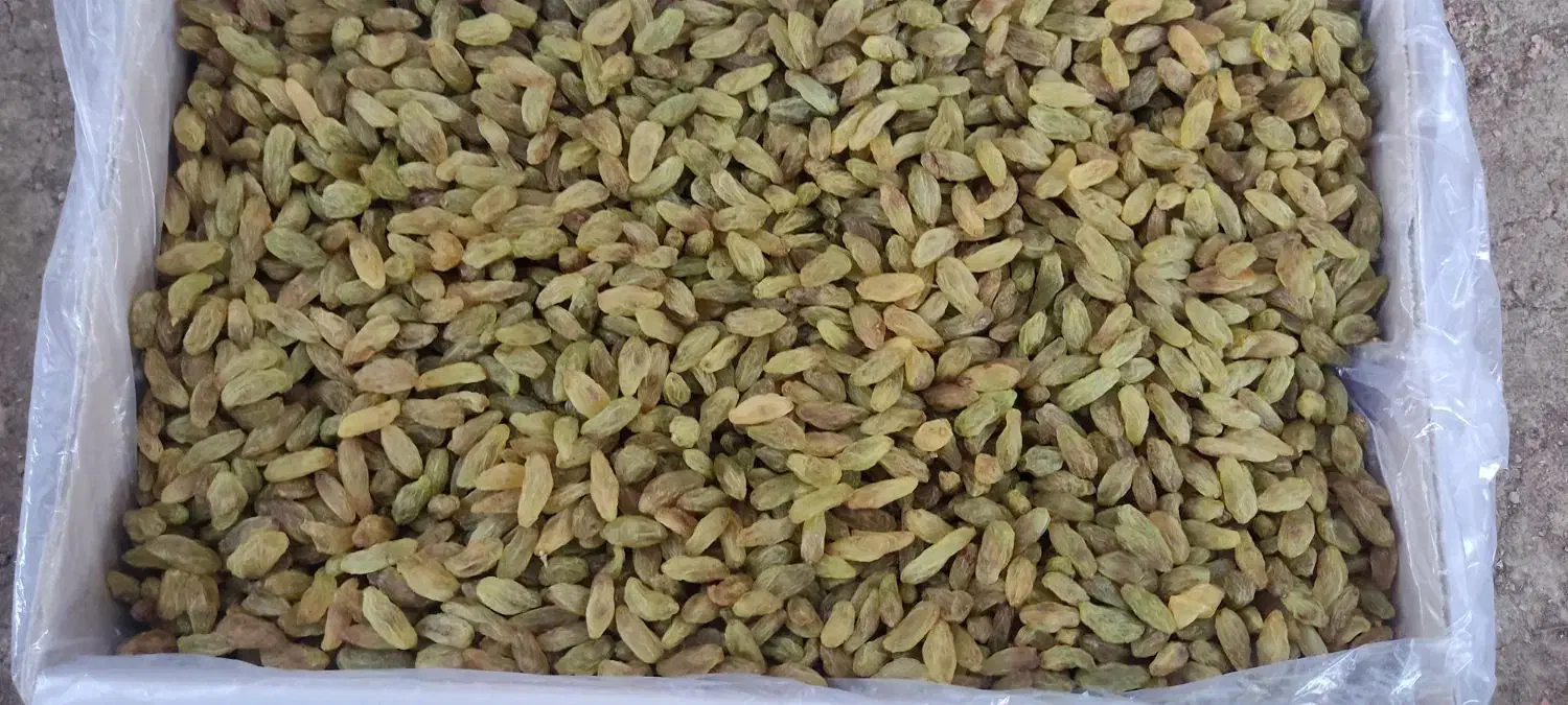 کشمش سبز|خوردنی و آشامیدنی|تهران, هرندی|دیوار