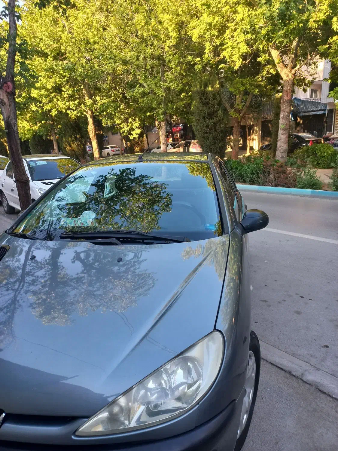 206 sdموتور tu5|خودرو سواری و وانت|اصفهان, مهرآباد|دیوار