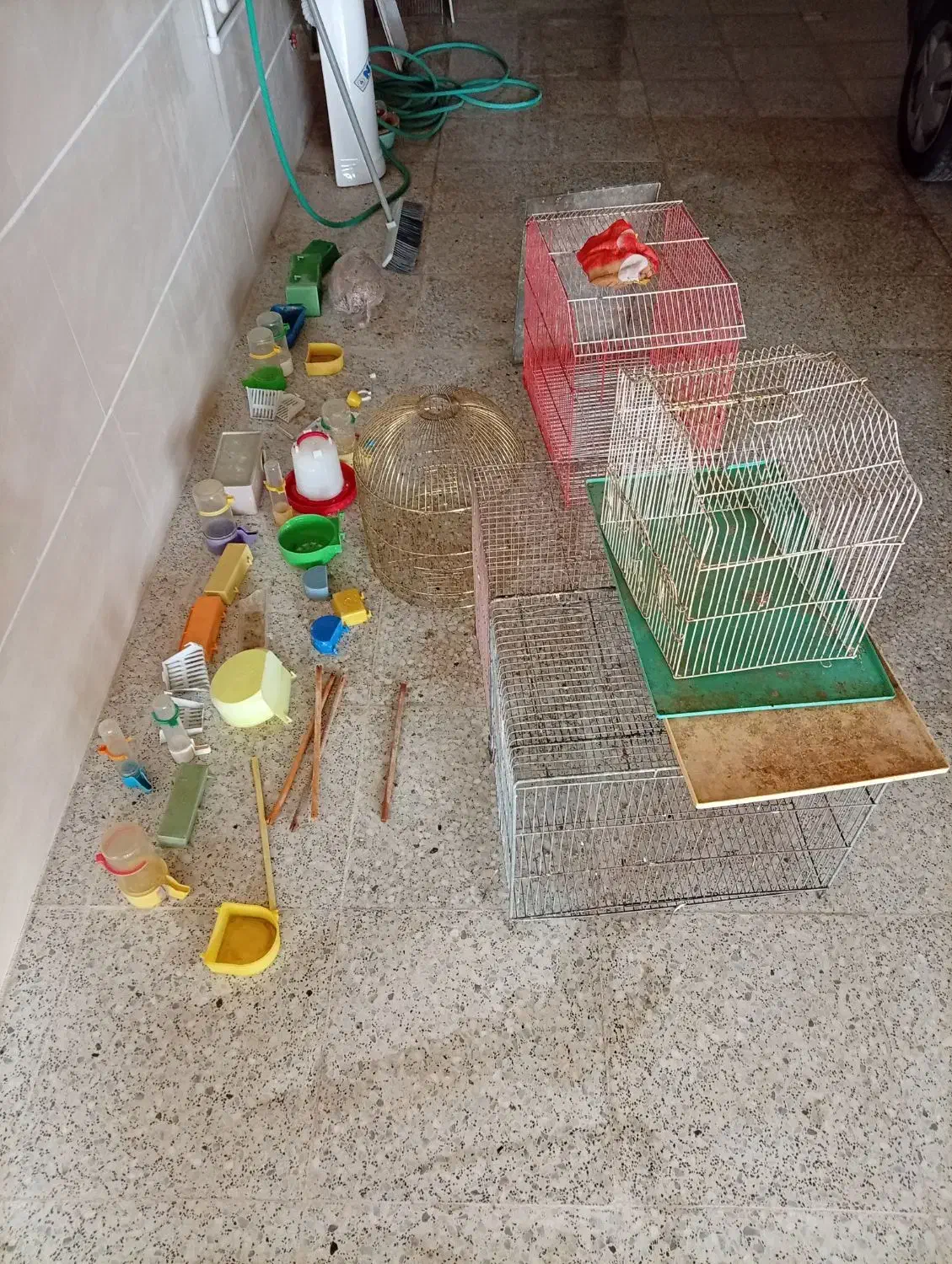 قفس|لوازم جانبی حیوانات|اردکان, |دیوار