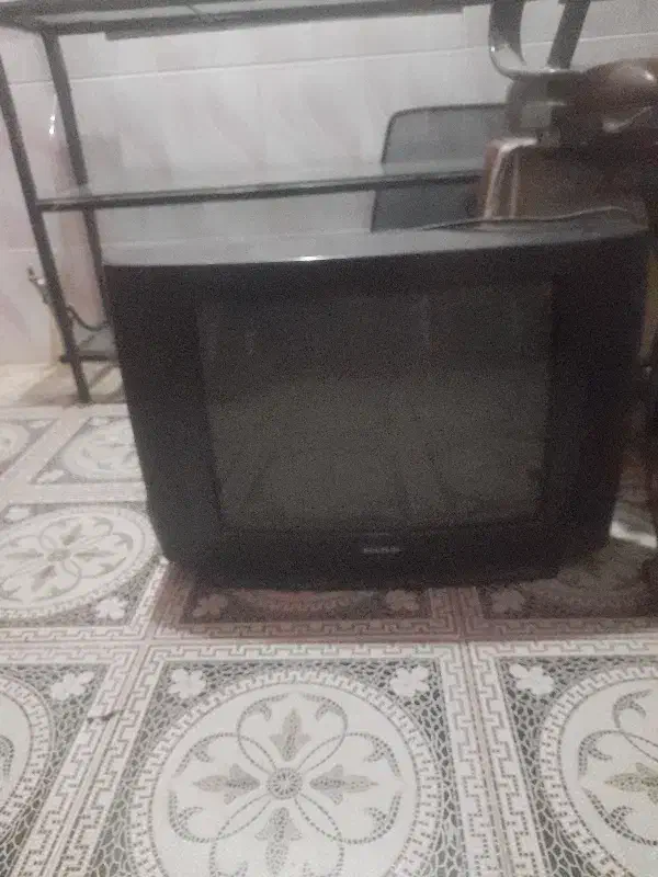 تلویزیون|تلویزیون و پروژکتور|اندیمشک, |دیوار