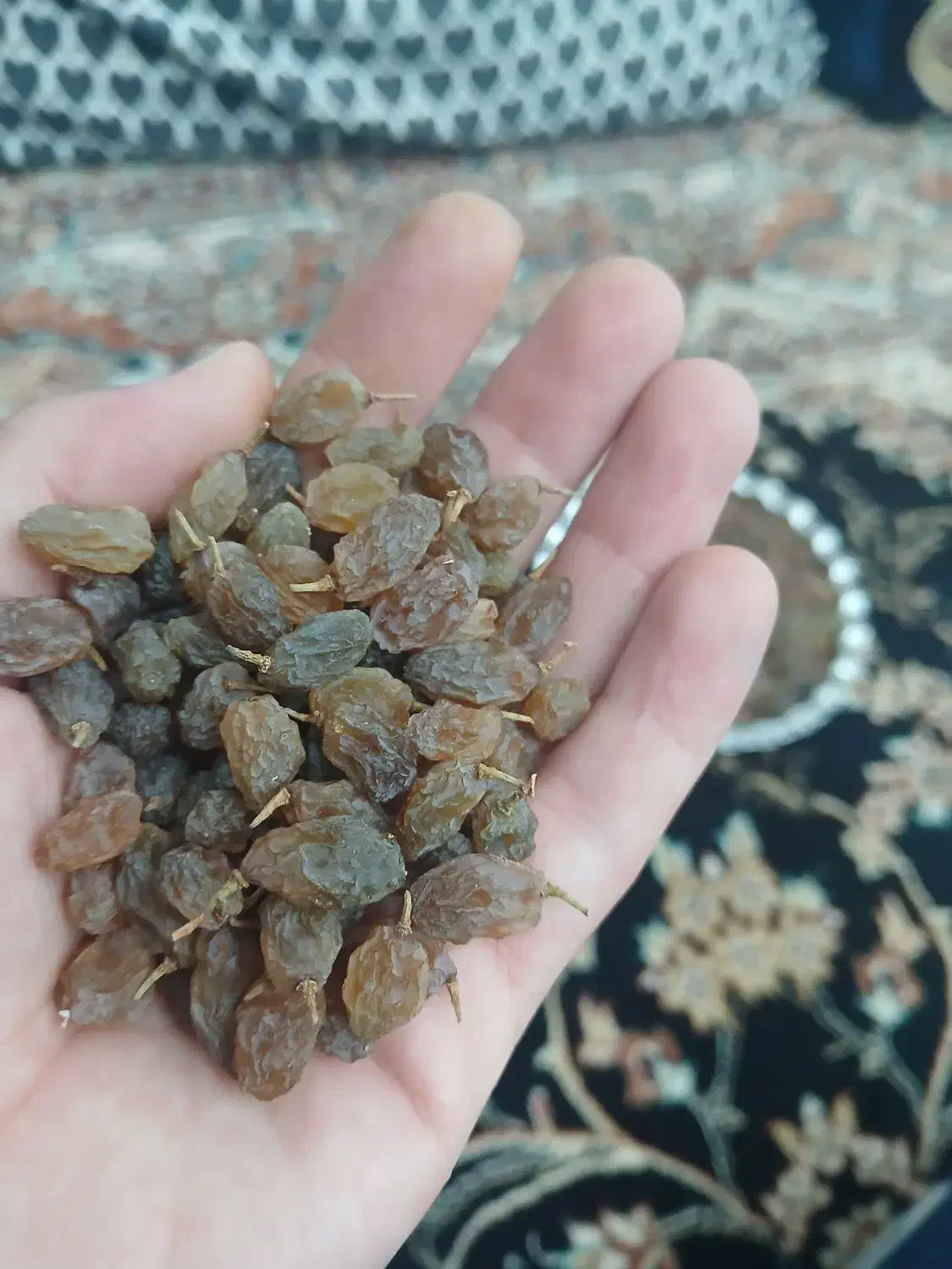 سایه خشک|خوردنی و آشامیدنی|ملایر, |دیوار