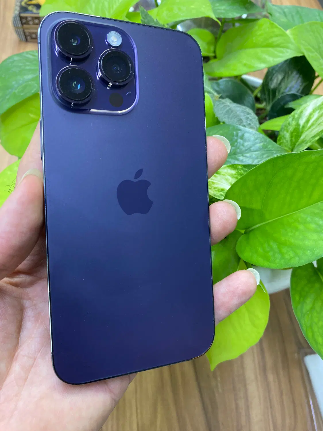 iPhone 14pro max|موبایل|شیراز, آزادی|دیوار