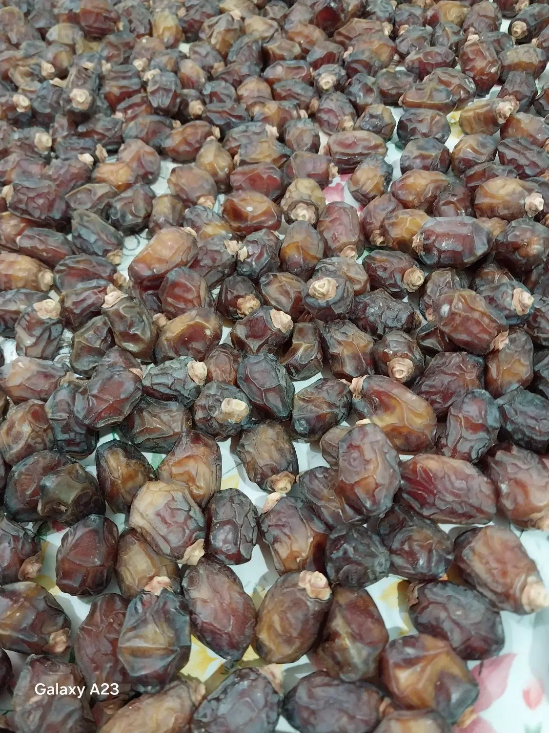 خرمای خشک خاصویی درجه یک . خرید مستقیم از باغدار|خوردنی و آشامیدنی|تهران, هلال احمر|دیوار