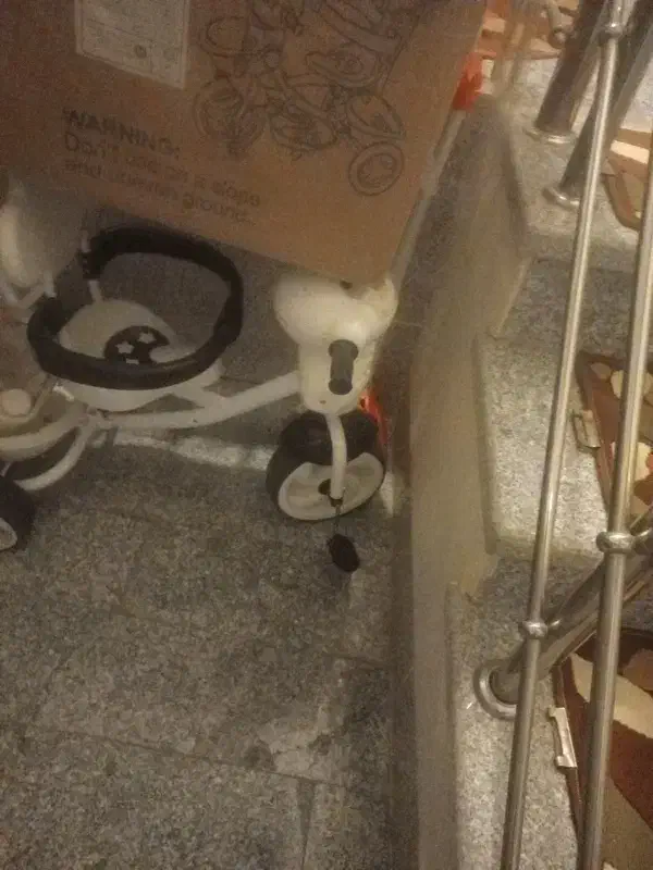 سه چرخه|دوچرخه، اسکیت، اسکوتر|همدان, |دیوار