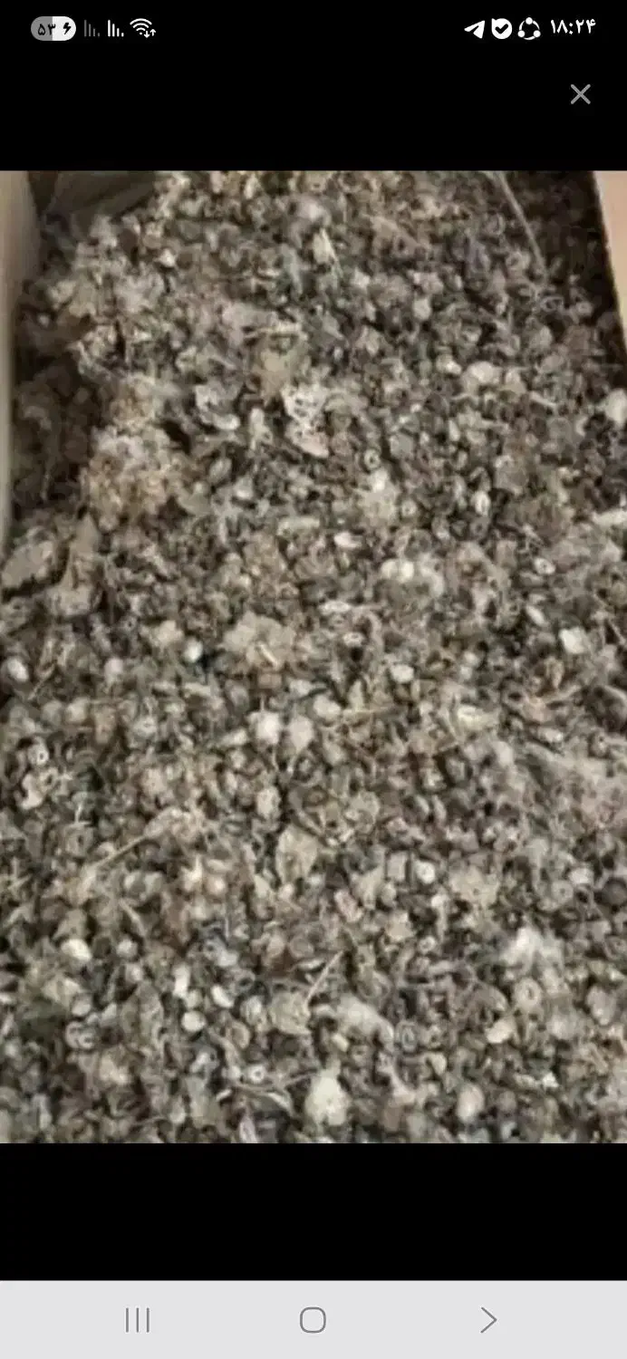 کود کبوتر اصل خشک وتمیز|خدمات باغبانی و درختکاری|باروق, |دیوار