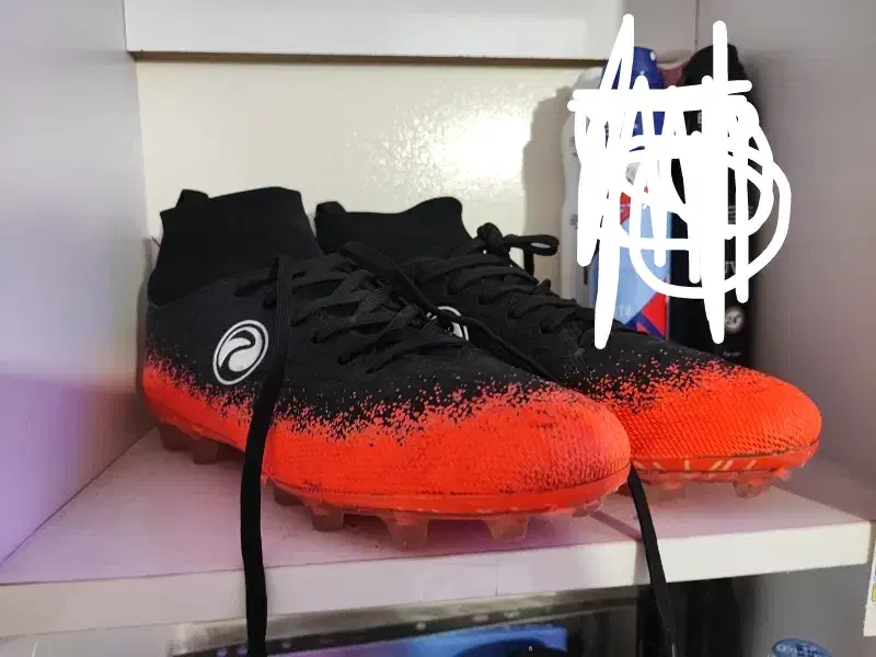 کفش فوتبال|کیف، کفش، کمربند|بندر انزلی, کلیور|دیوار