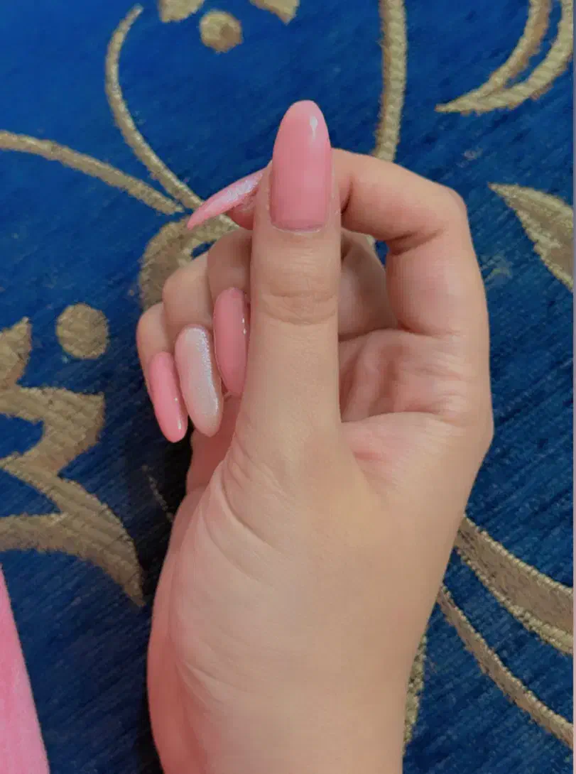 نیازمند مدل برای تکمیل البوم کاری پیج اینستاگرام|خدمات آرایشگری و زیبایی|تربت‌حیدریه, پارک کاشانی|دیوار