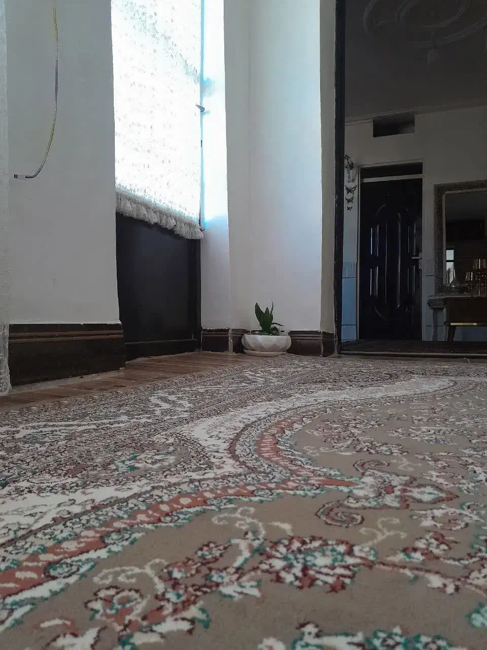 رهن و اجاره ویلای مسکونی|اجارهٔ خانه و ویلا|کنگاور, |دیوار