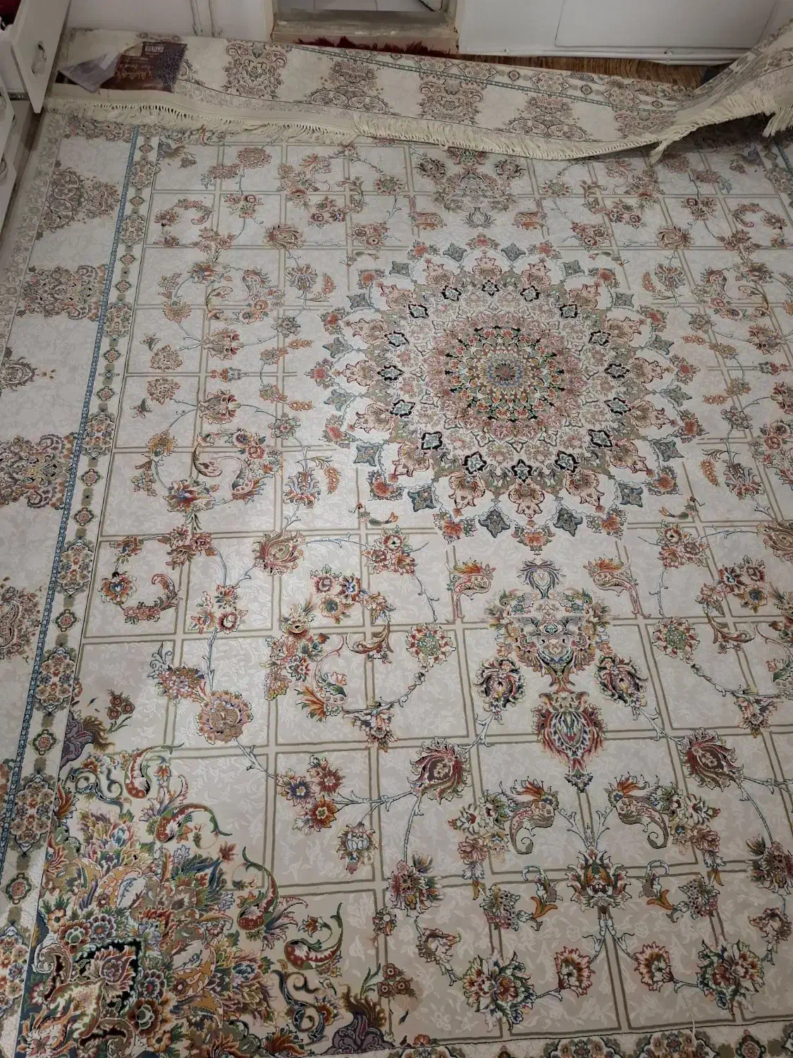 فرش 12متری|فرش|فردیس, داوری|دیوار