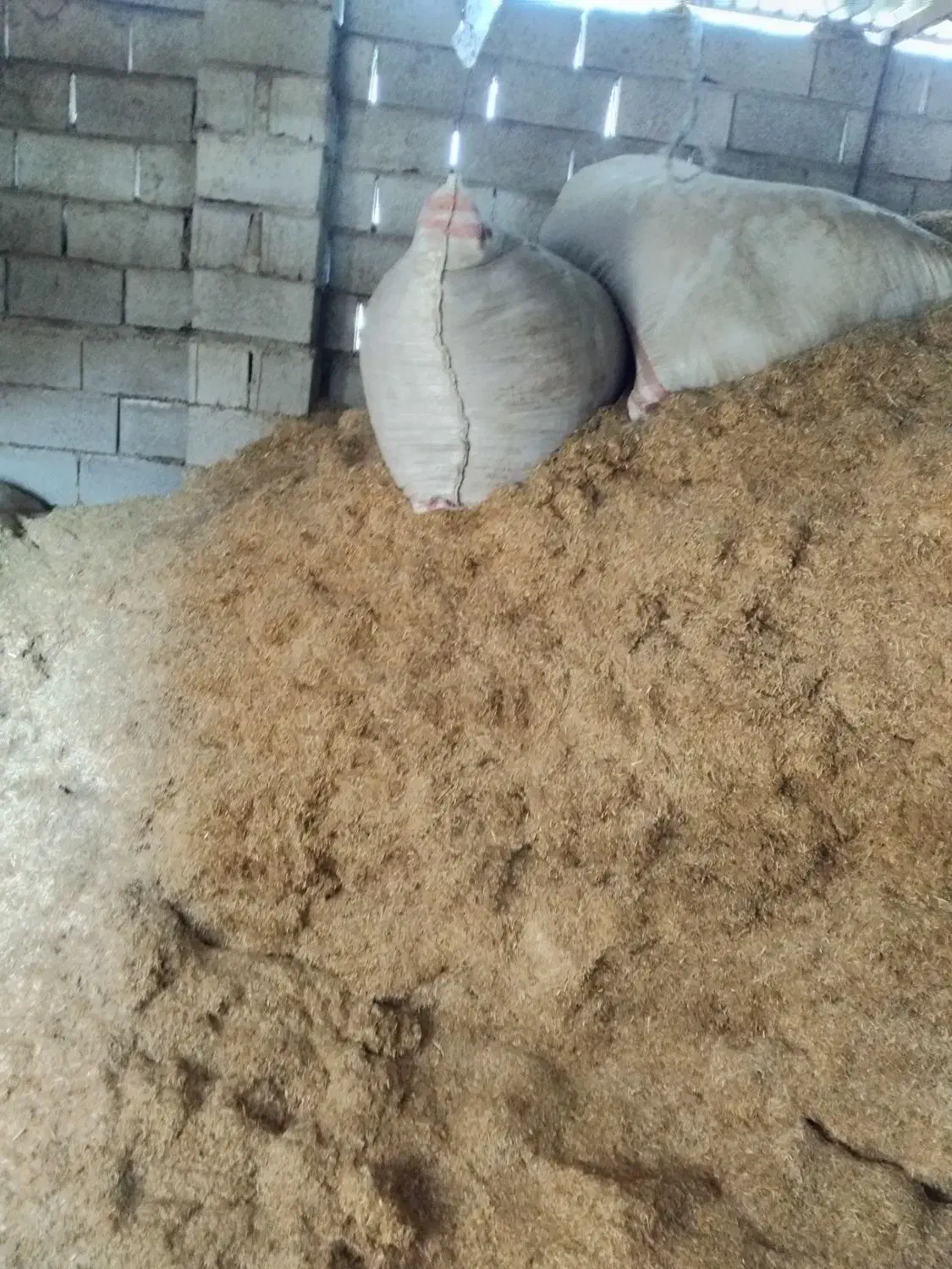 کاه|لوازم جانبی حیوانات|سنگدوین, |دیوار