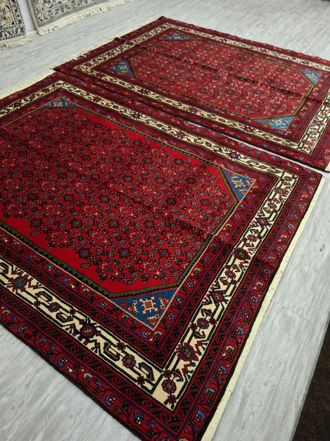 یک جفت فرش دستباف انجلاس|فرش|تهران, حر|دیوار